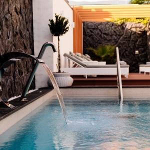 Фото Монарх