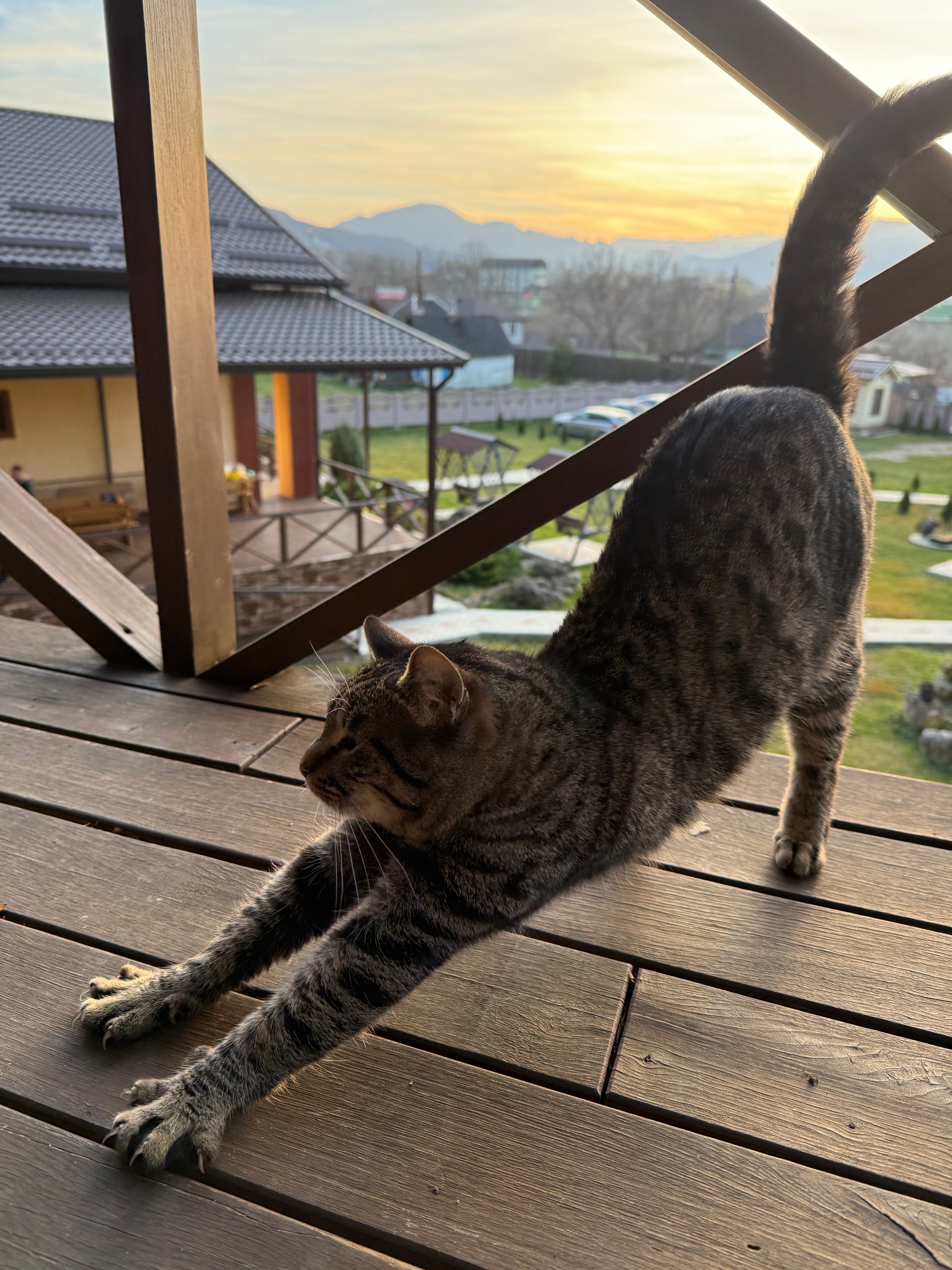 Фото Даховское поместье