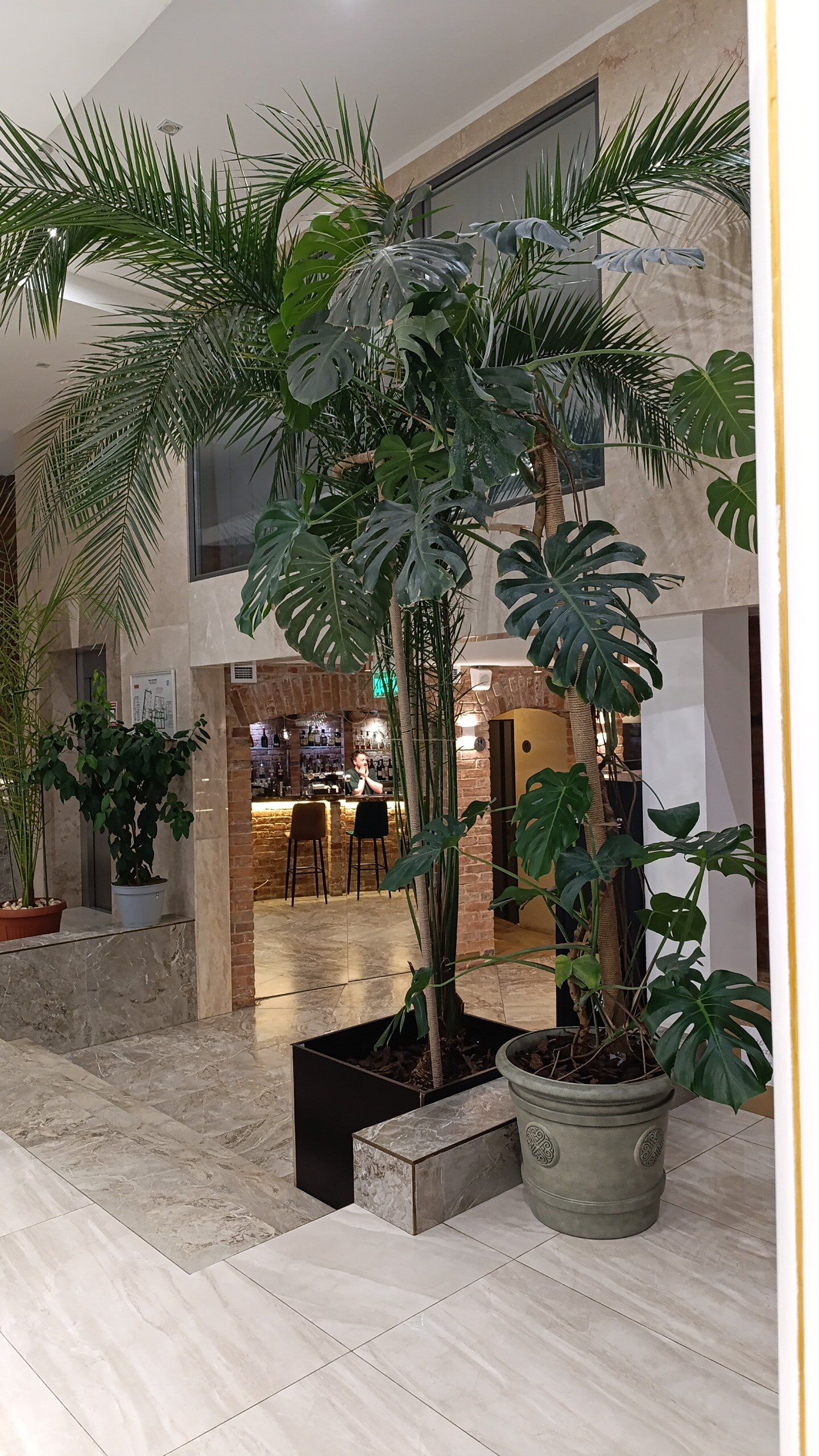 Фото Губернаторъ