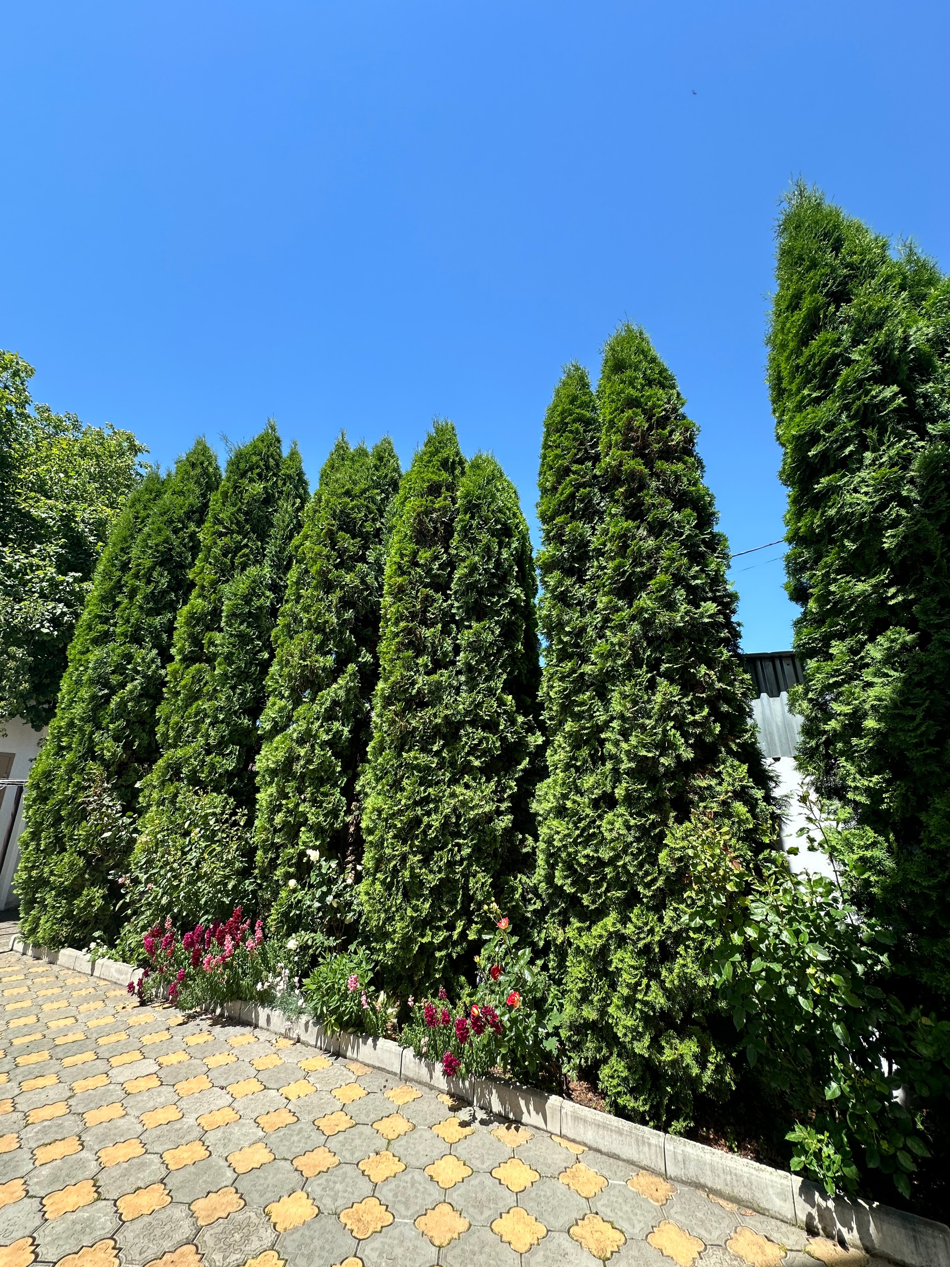 Фото Марийка