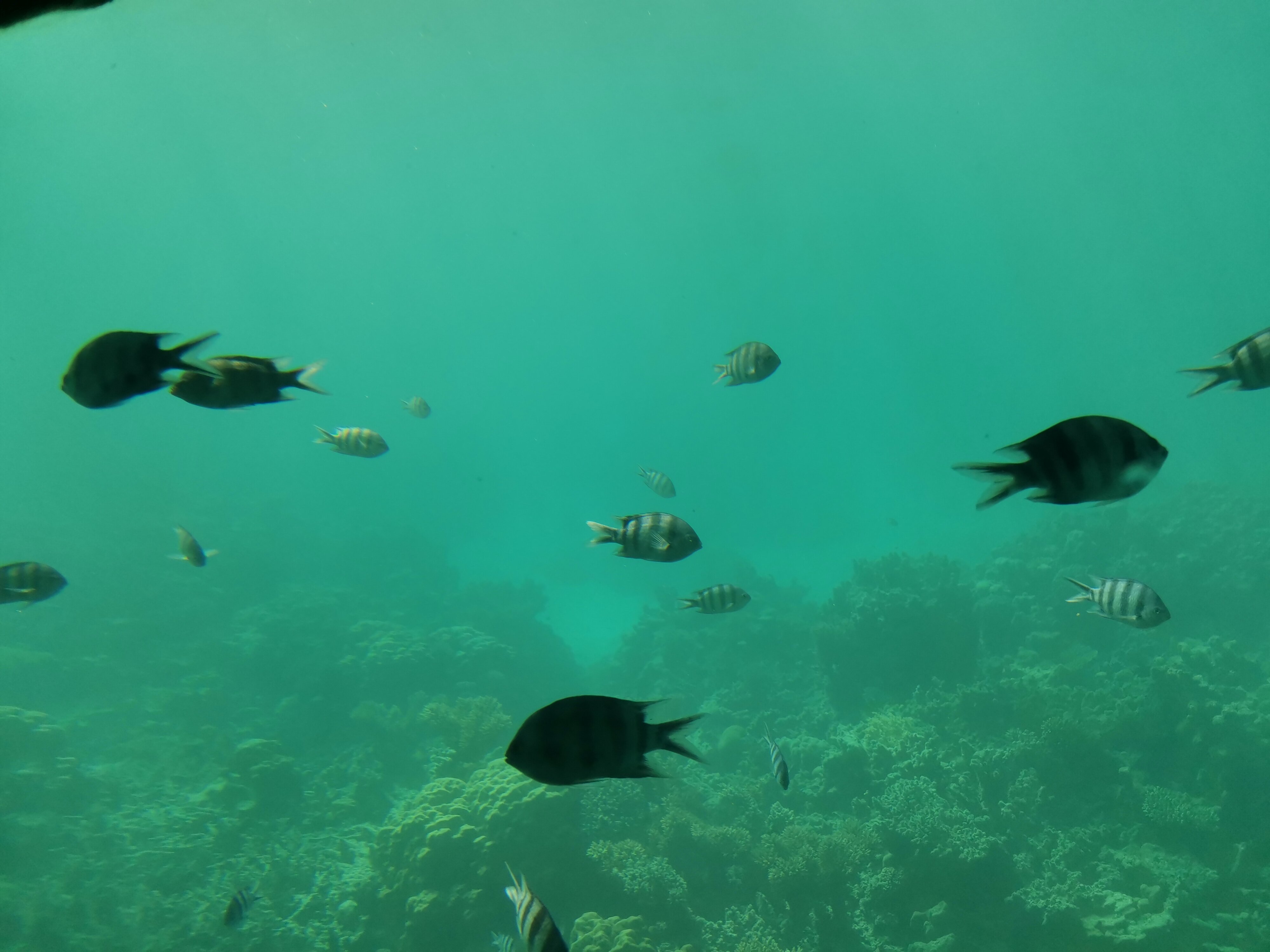 Фото MinaMark Resort & SPA