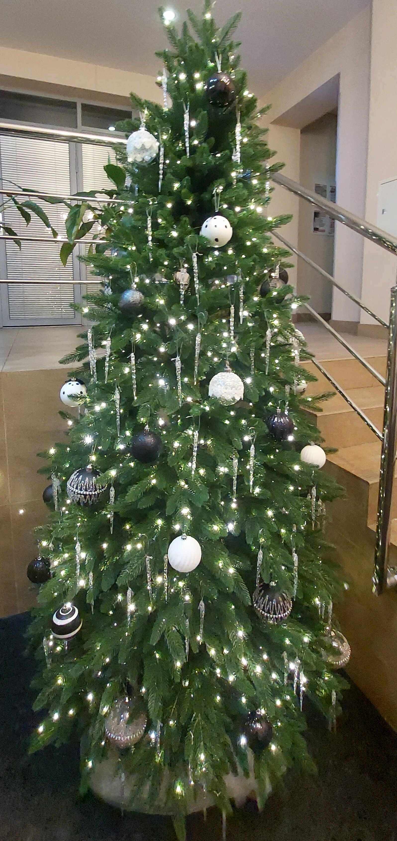 Фото Глобус