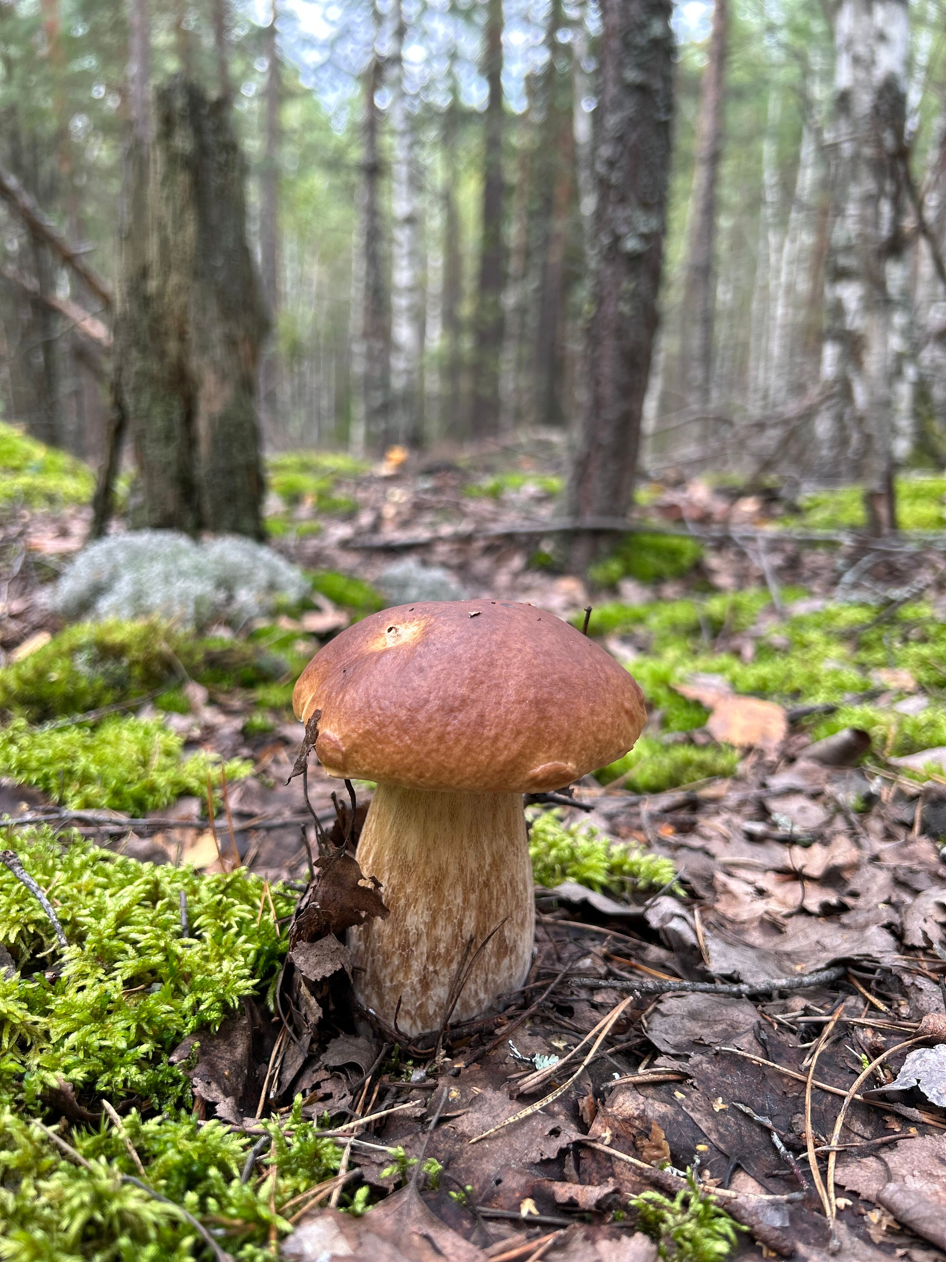 Фото Волшебная Заводь