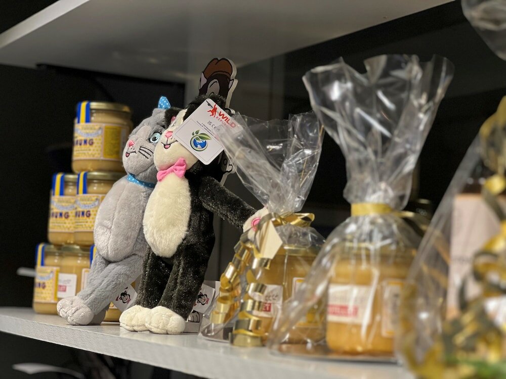 Фото Akademihotellet