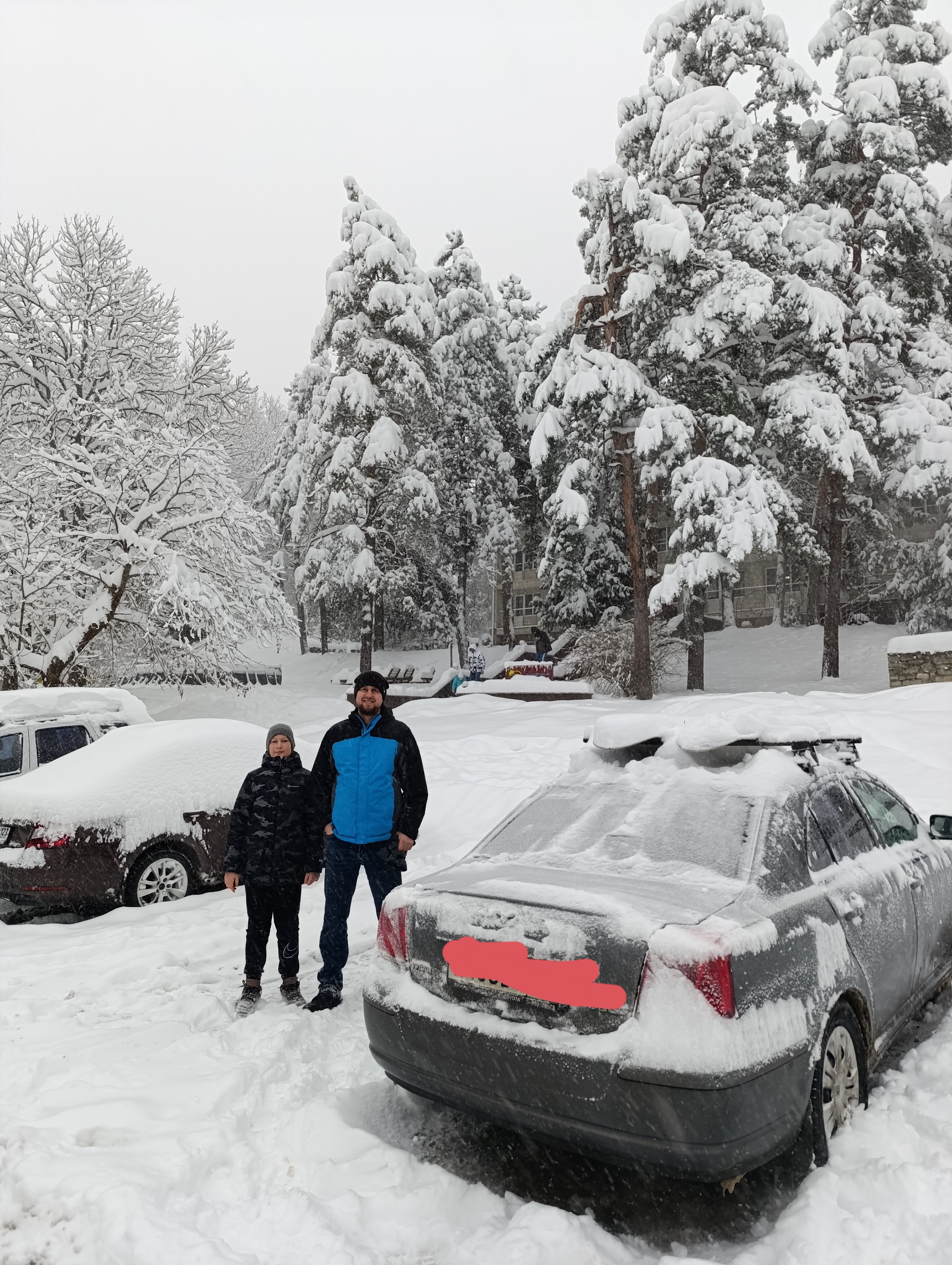 Фото Берёзка