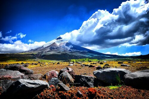 Гостиница Hostal Dulce Hogar в Латакунге