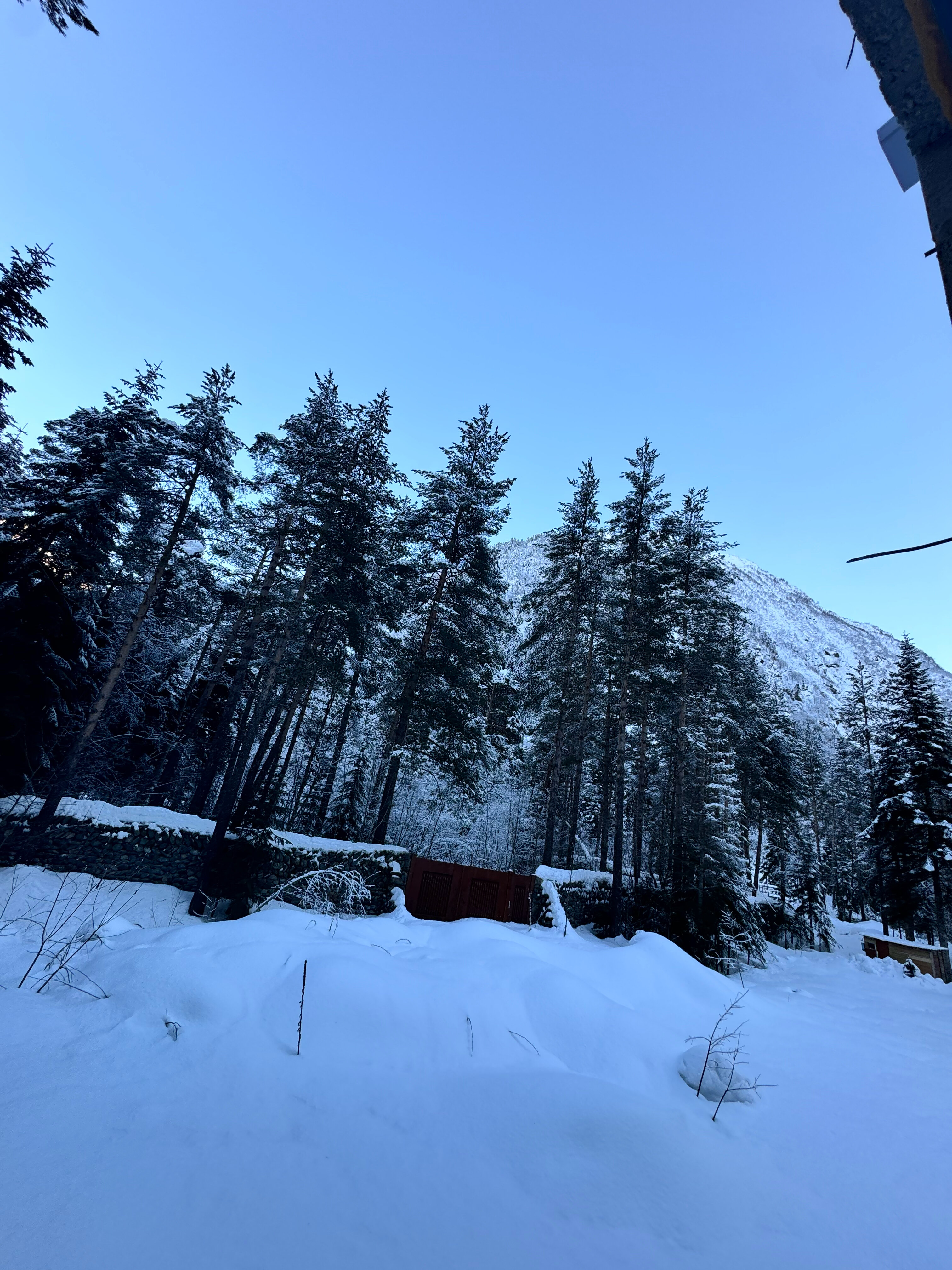 Фото Мамураш