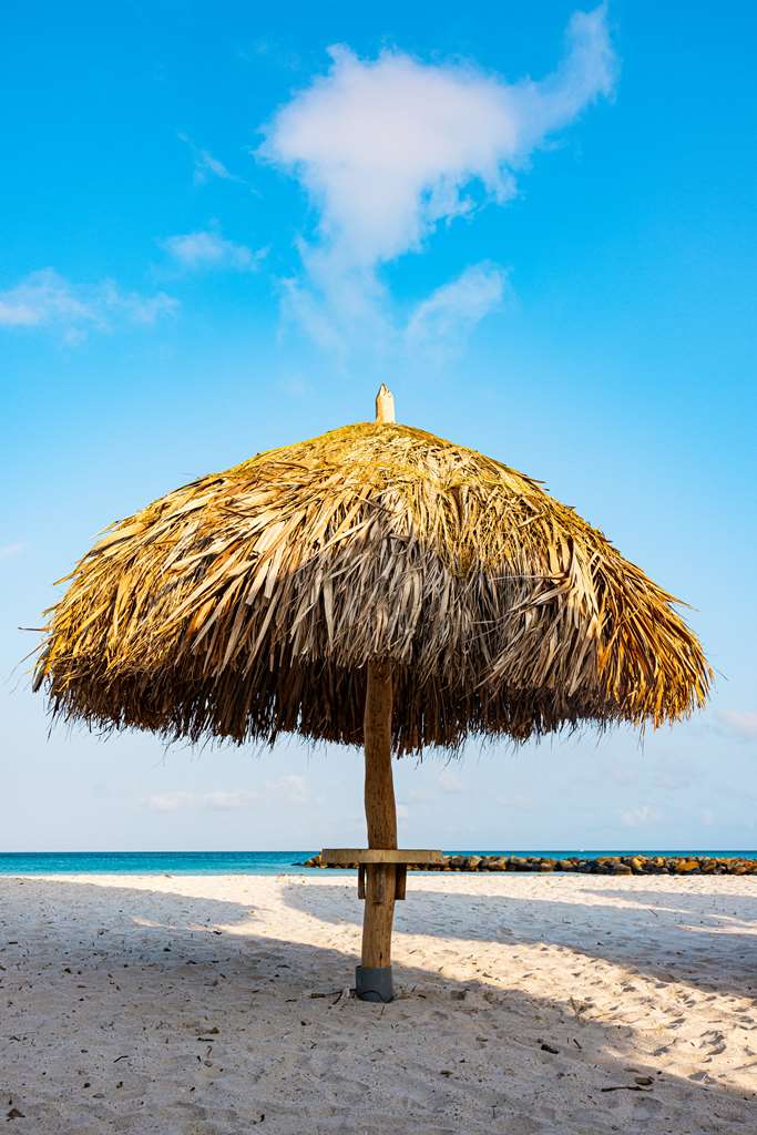 Фото Embassy Suites by Hilton Aruba Resort
