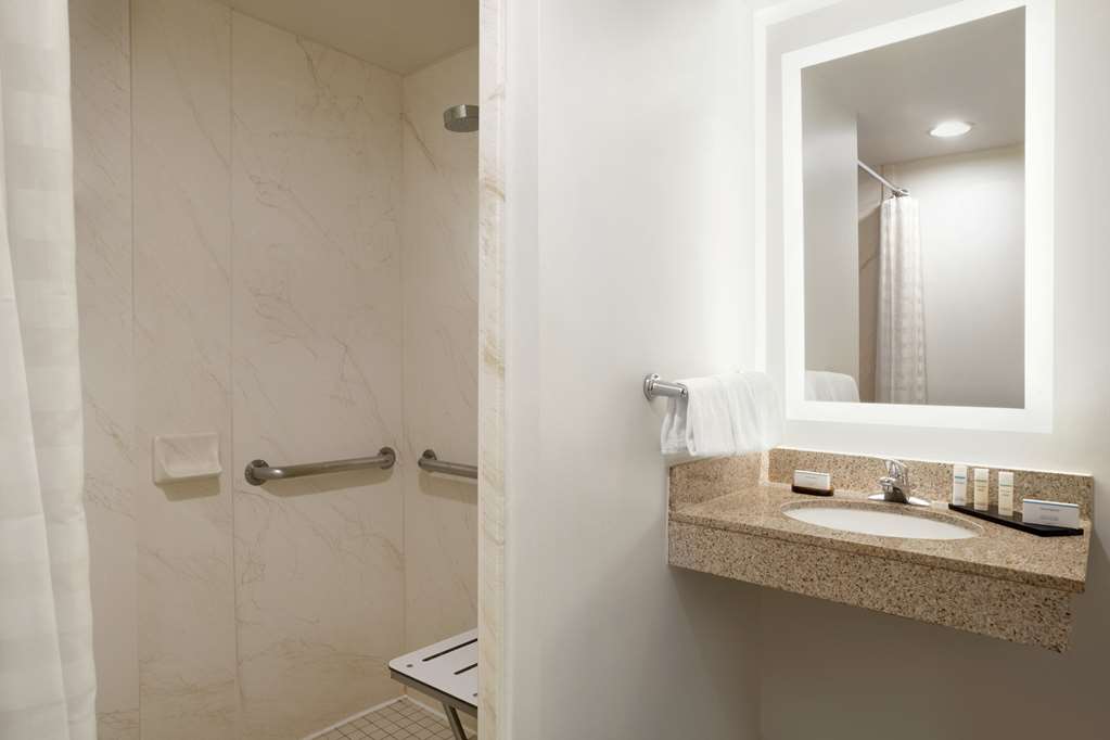 Фото Embassy Suites by Hilton Denver International Airport