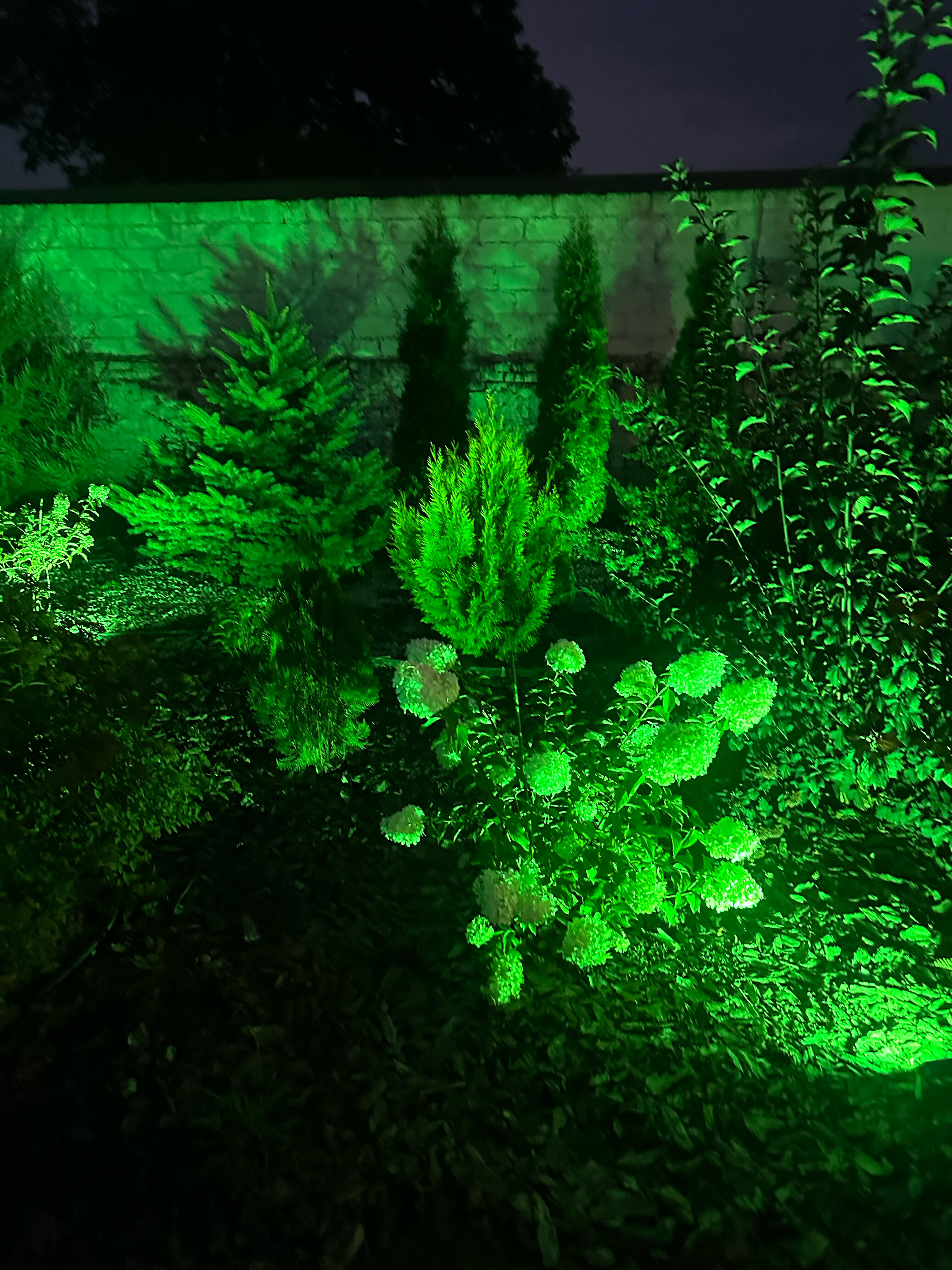 Фото Провинция