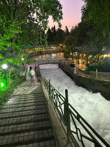 Jamoat transportida gosht miltillovchi videolar