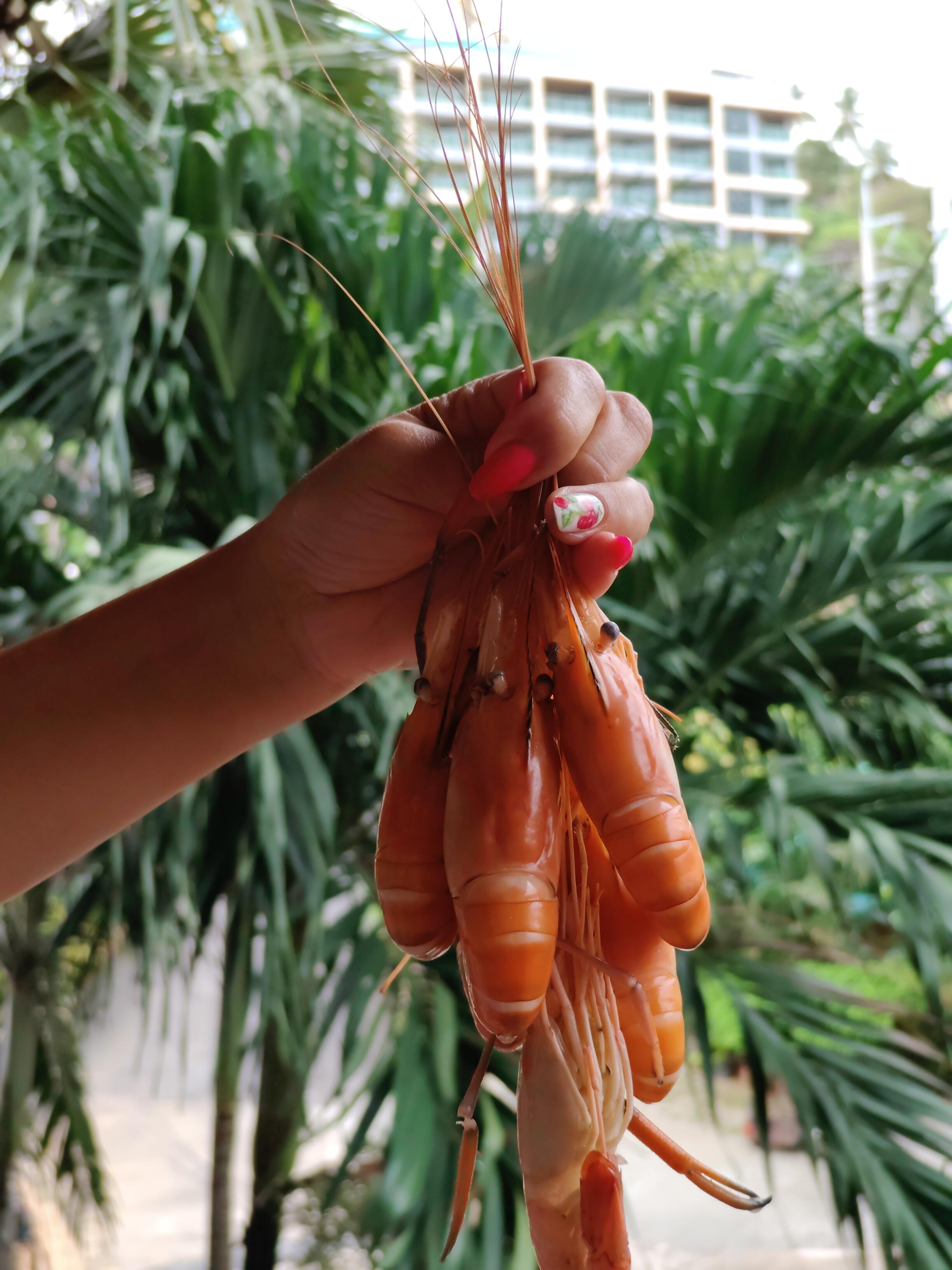 Фото Baan Vanida Garden Resort