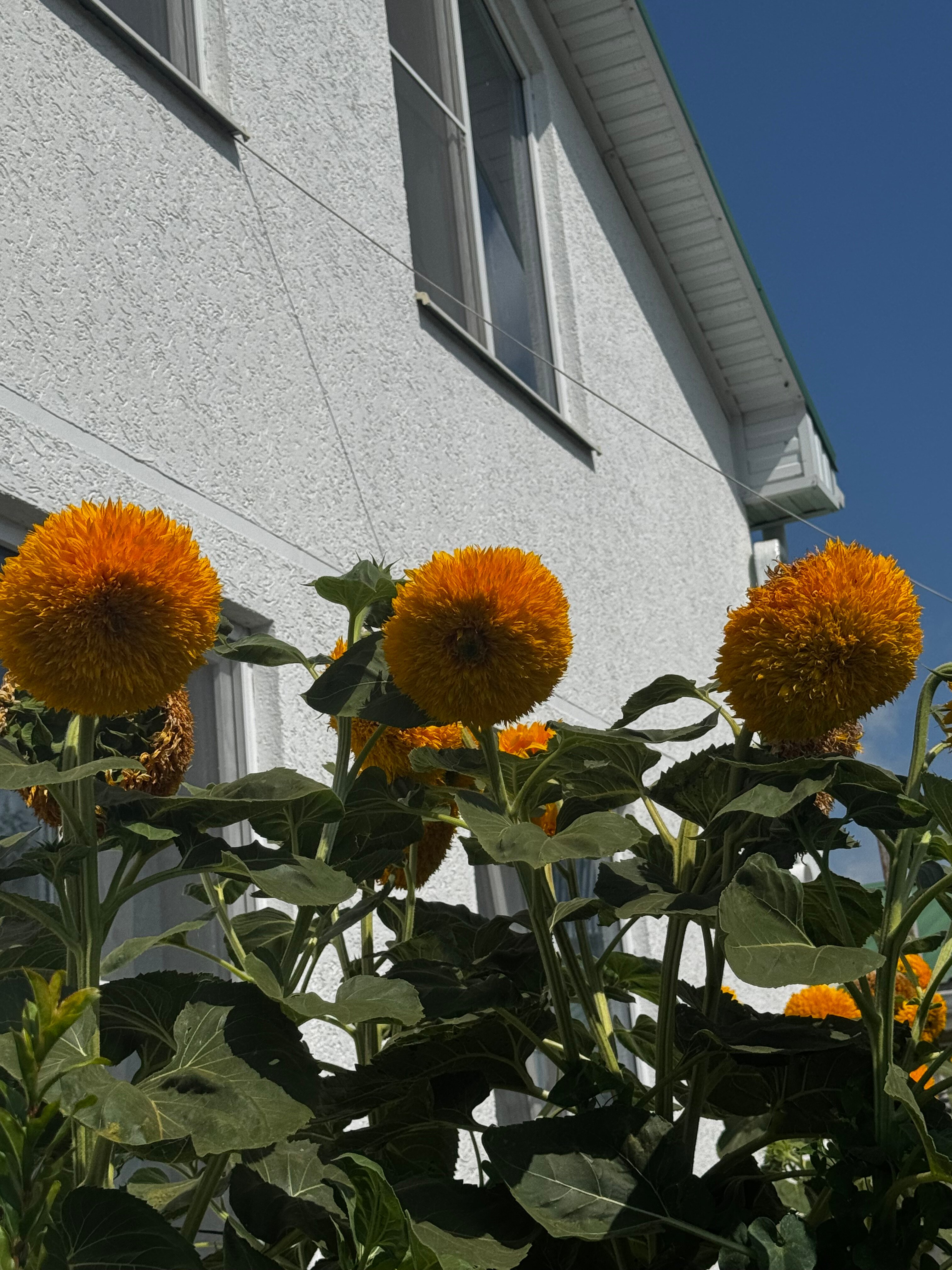 Фото Жилье на Янтарной