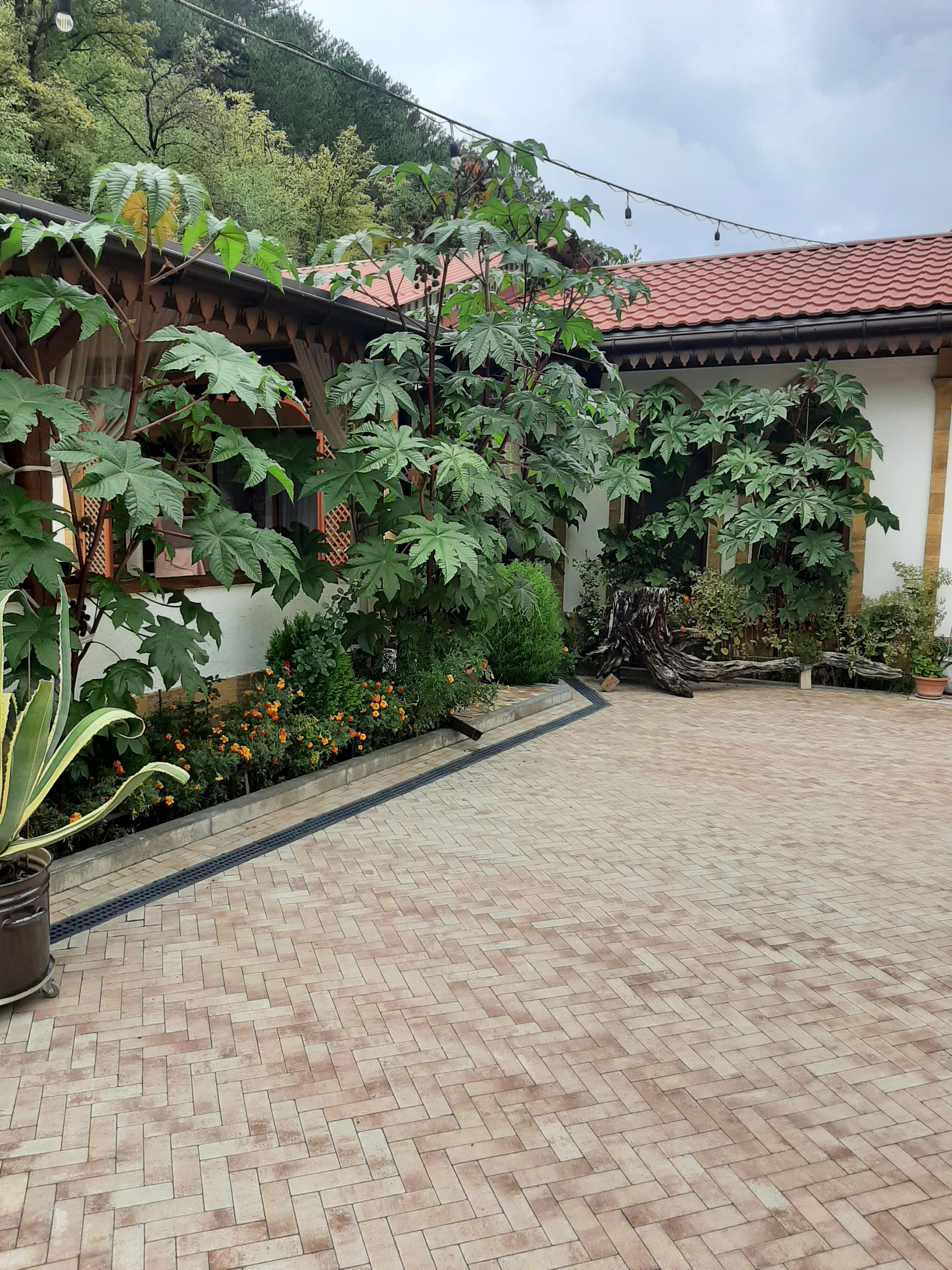 Фото Гостевой дом Эфенди