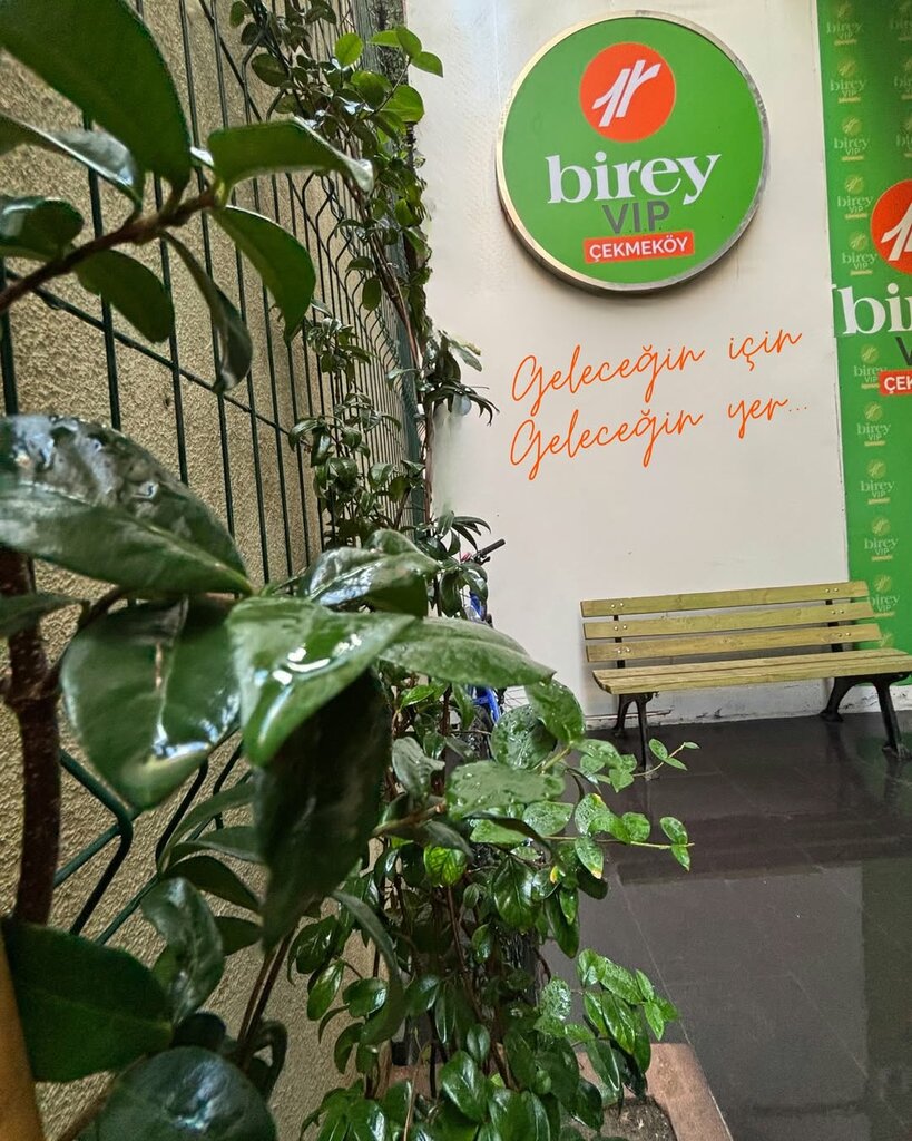 Educational center Birey Vıp, Istanbul, photo