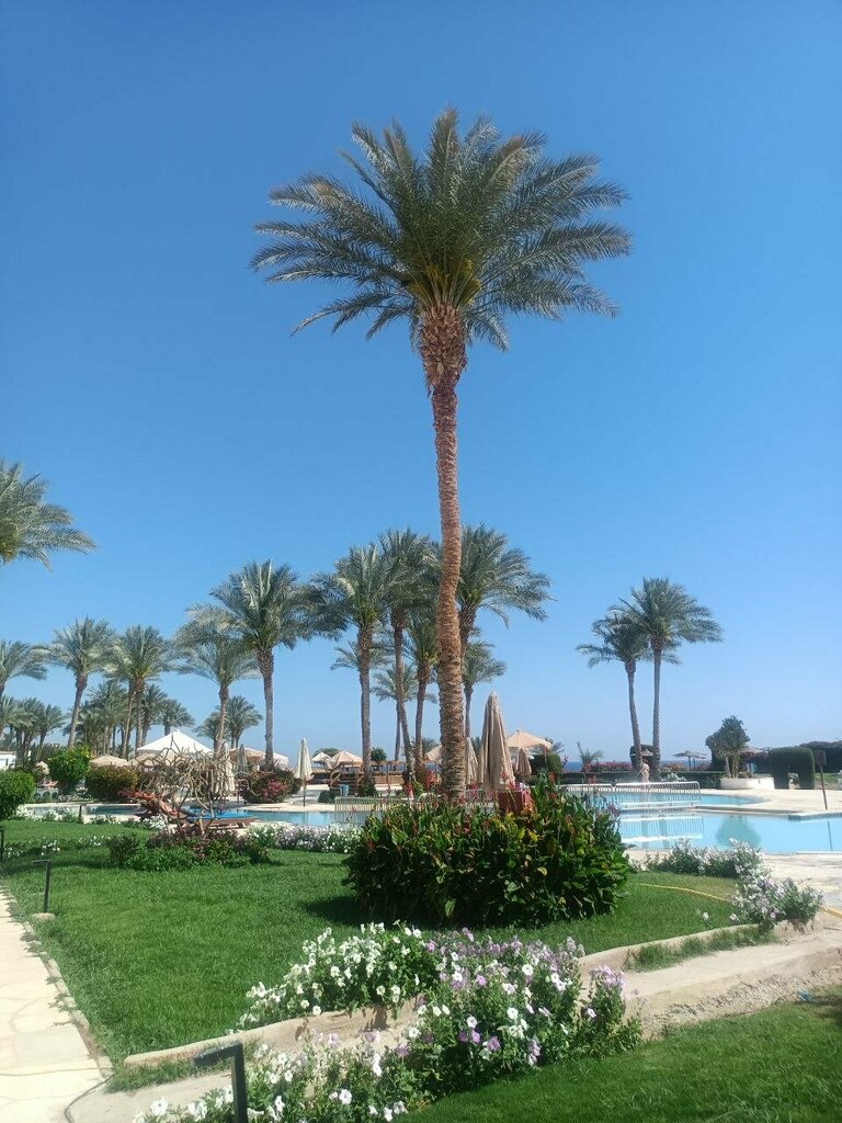 Travel agency Мир странствий, Voronezh, photo