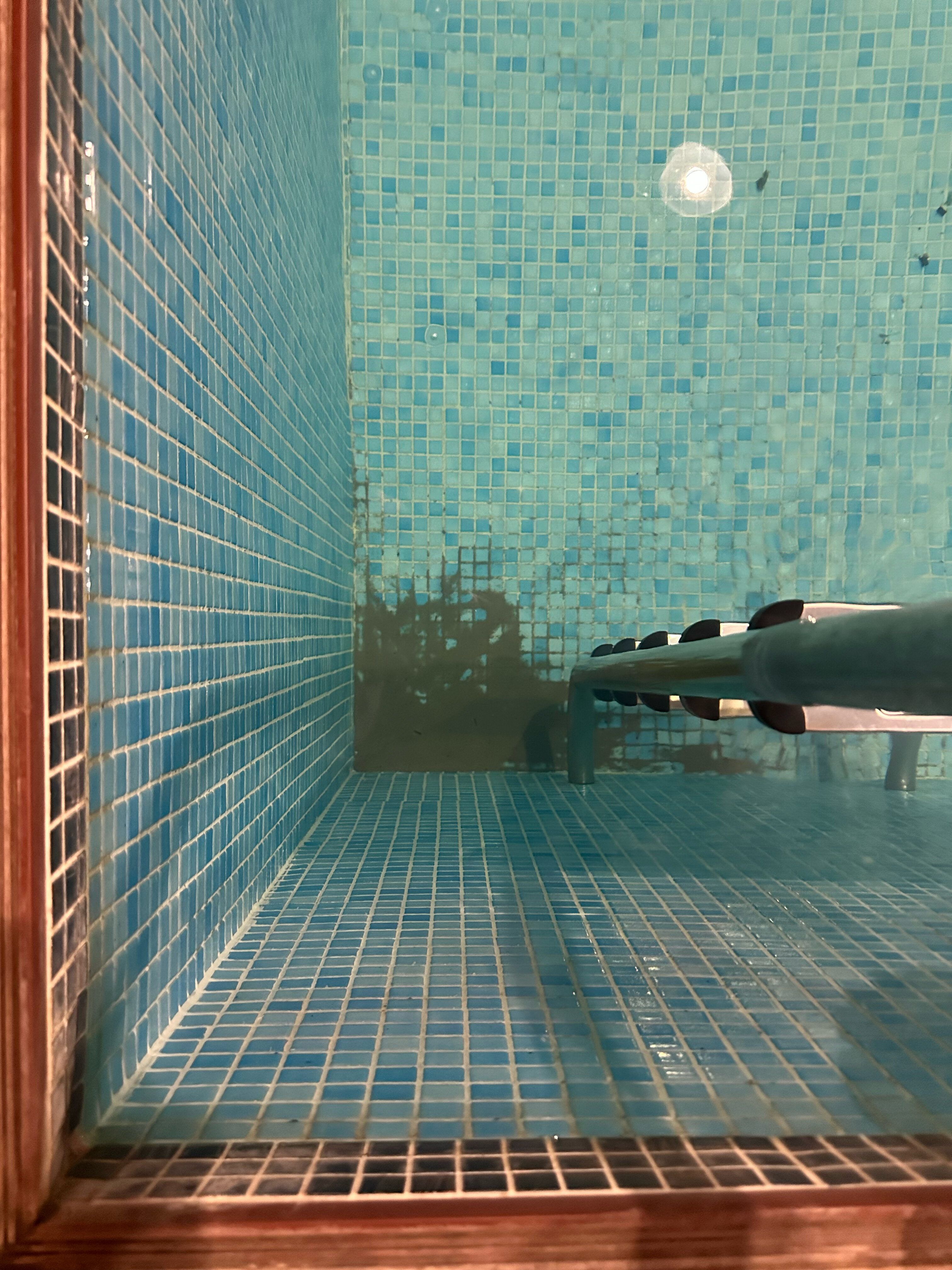 Фото Лисья нора