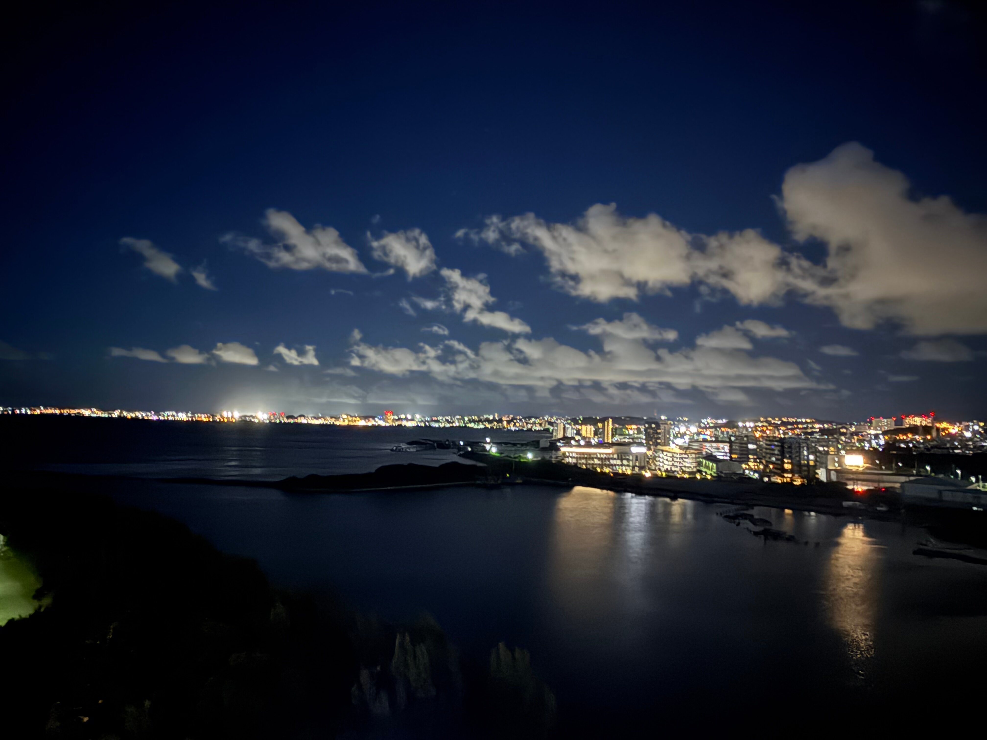 Фото Laguna Garden Hotel