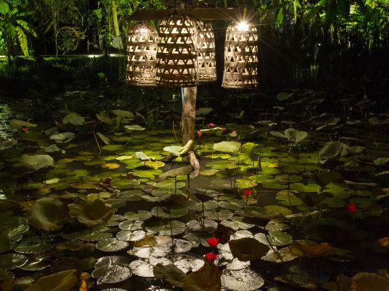 Фото Maisons Wat Kor