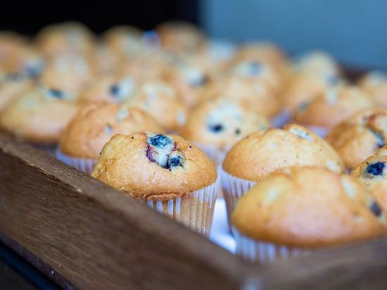 Фото DoubleTree by Hilton Hotel London - Ealing