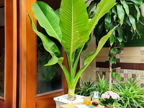 Фото Senkotel Nha Trang