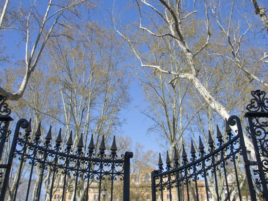 Фото Hotel Napoleon