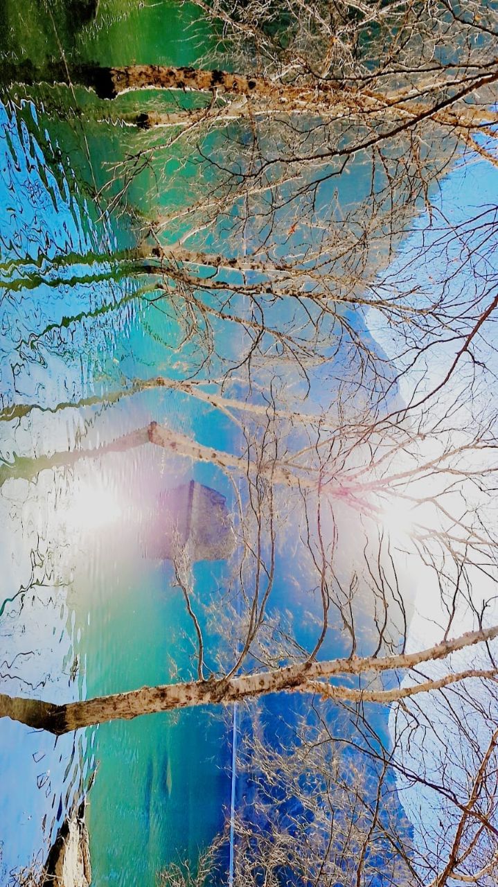 Фото Grand Sapphire