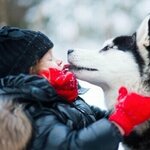 BonoDono.ru (ulitsa Lyotchika Pozdnyakova, 2к12), gift and souvenir shop