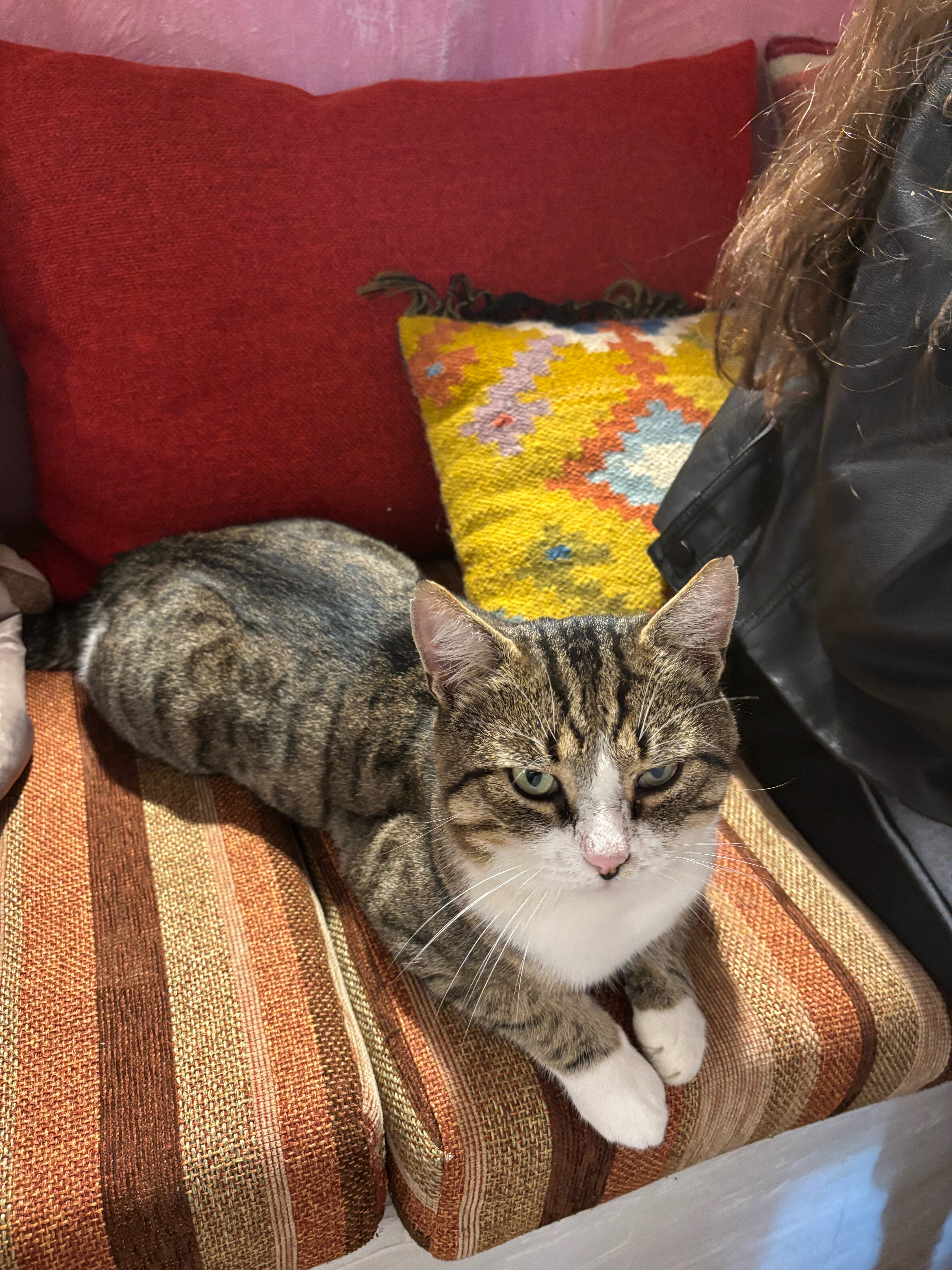 Фото ЭстетЭтно