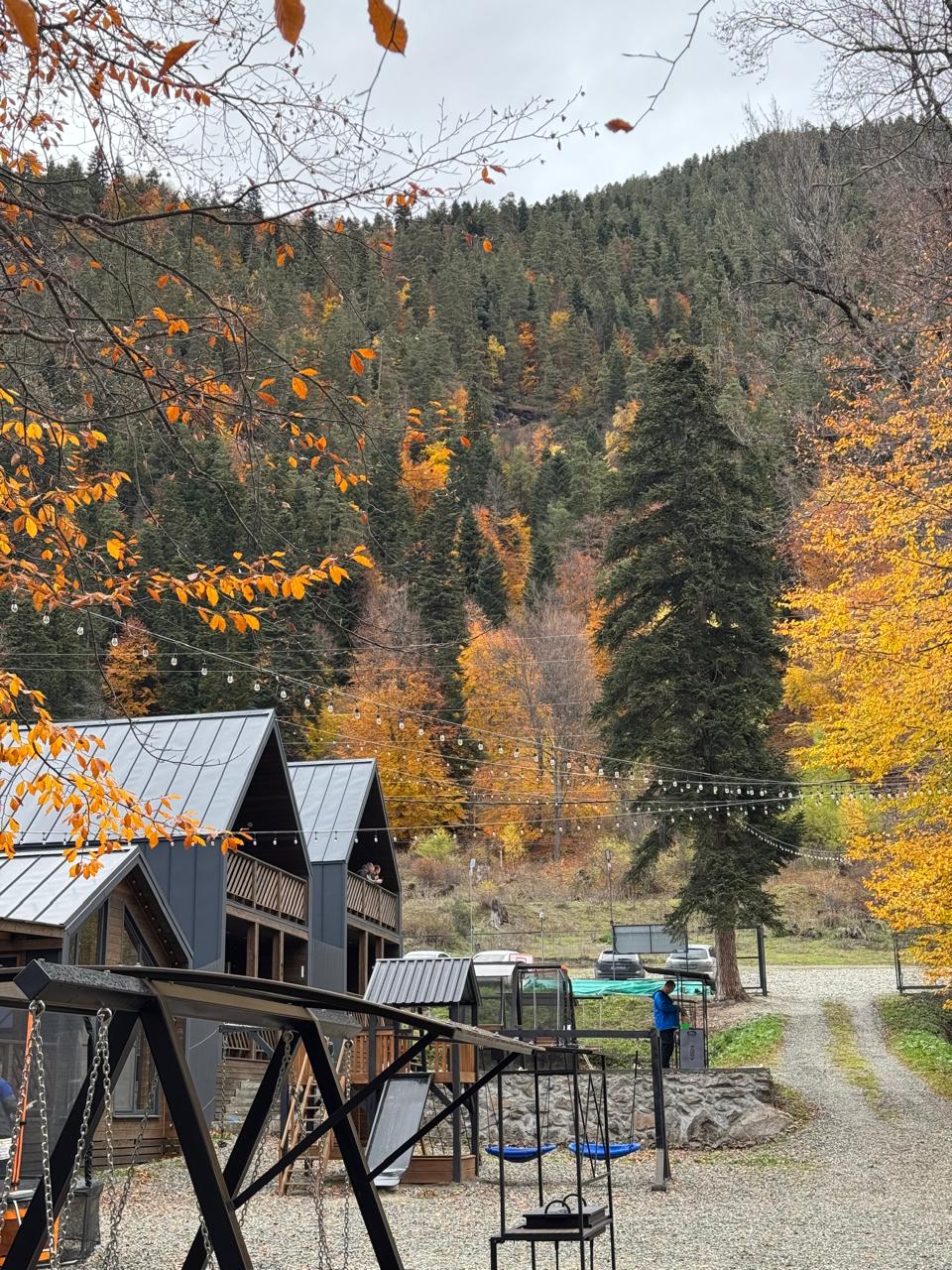 Фото Альбор