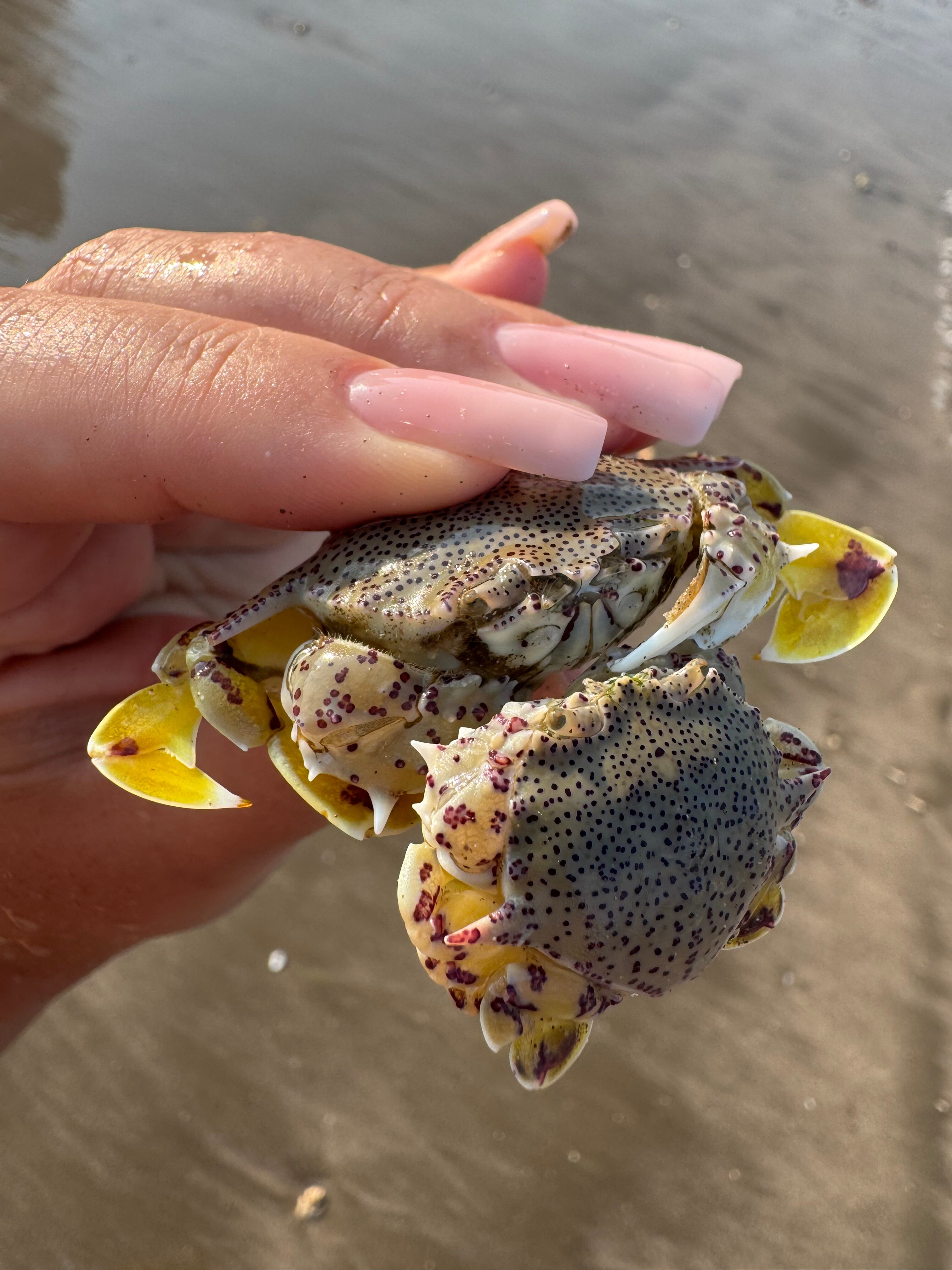 Фото Al Bahar Hotel & Resort