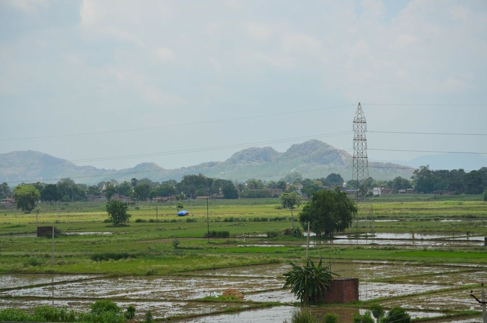 Фото Hotel Bodh Vilas