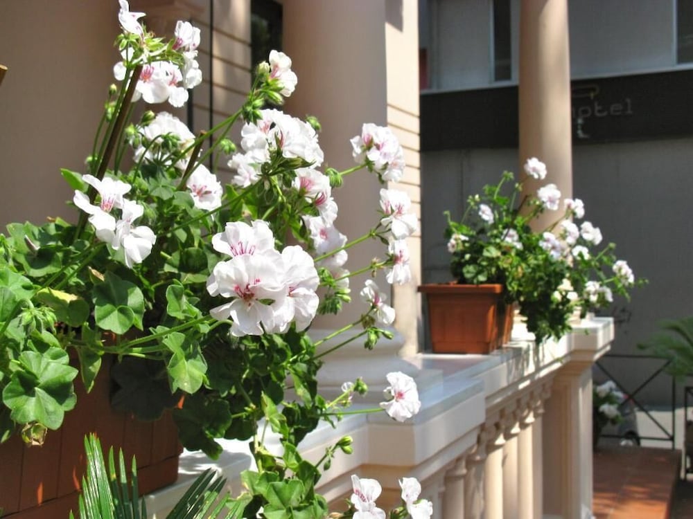 Фото Hotel Villa Luigia