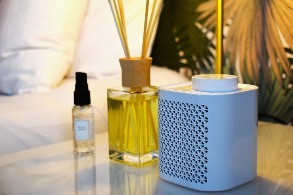 Фото The Ashleigh