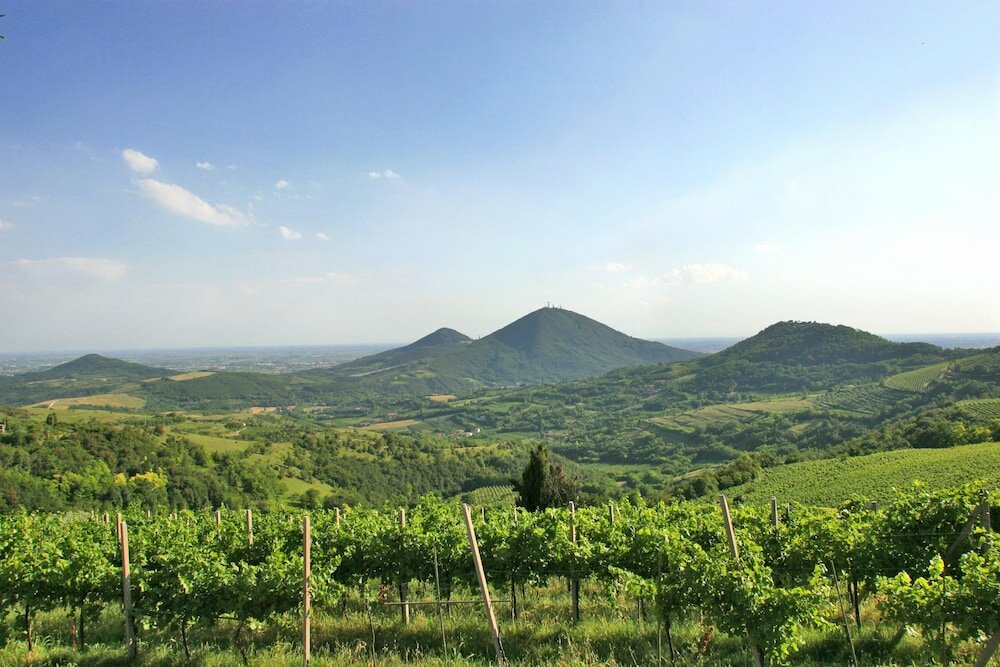 Фото Hotel Terme Bristol Buja