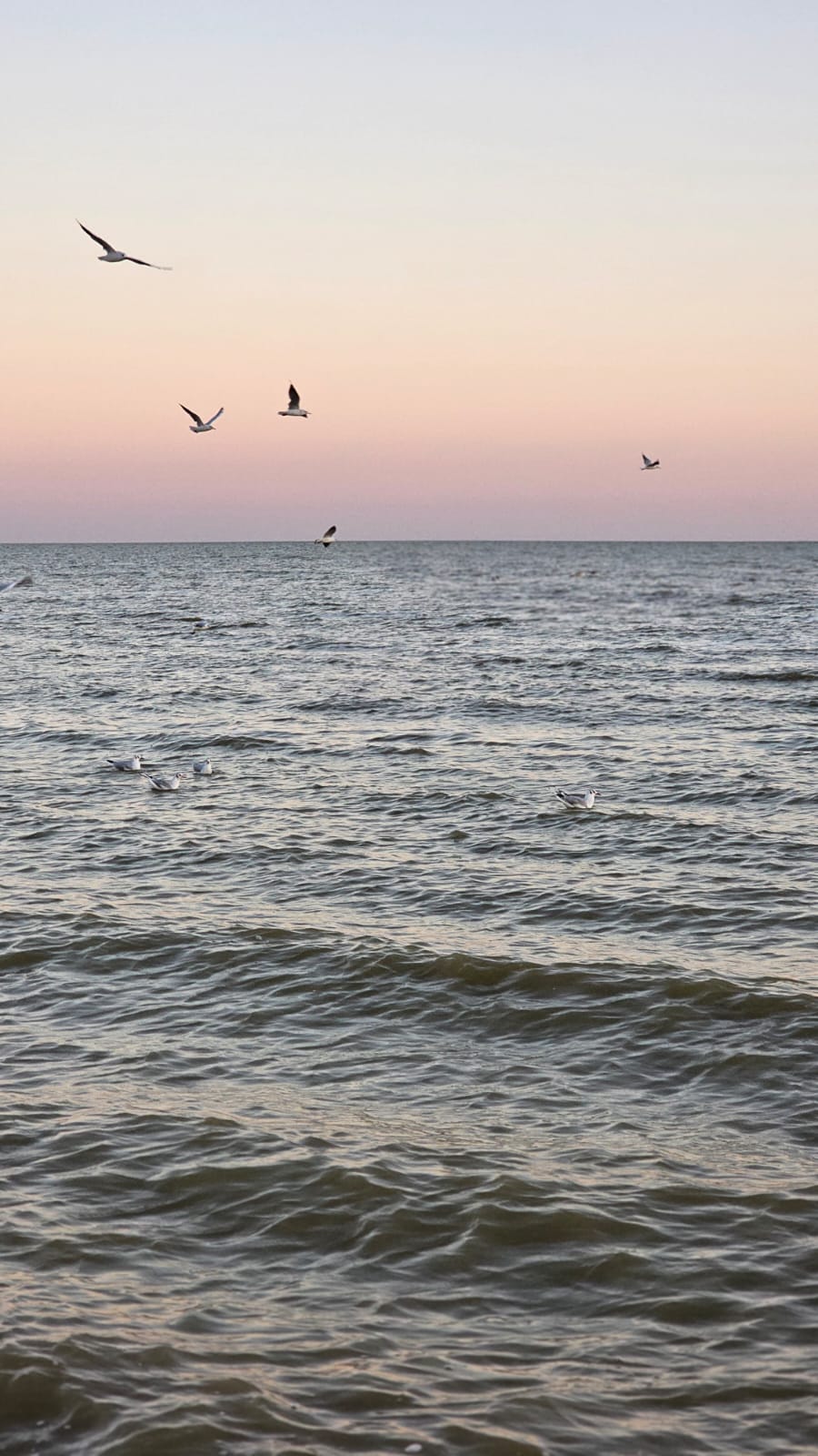 Фото Каникулы в Таганроге