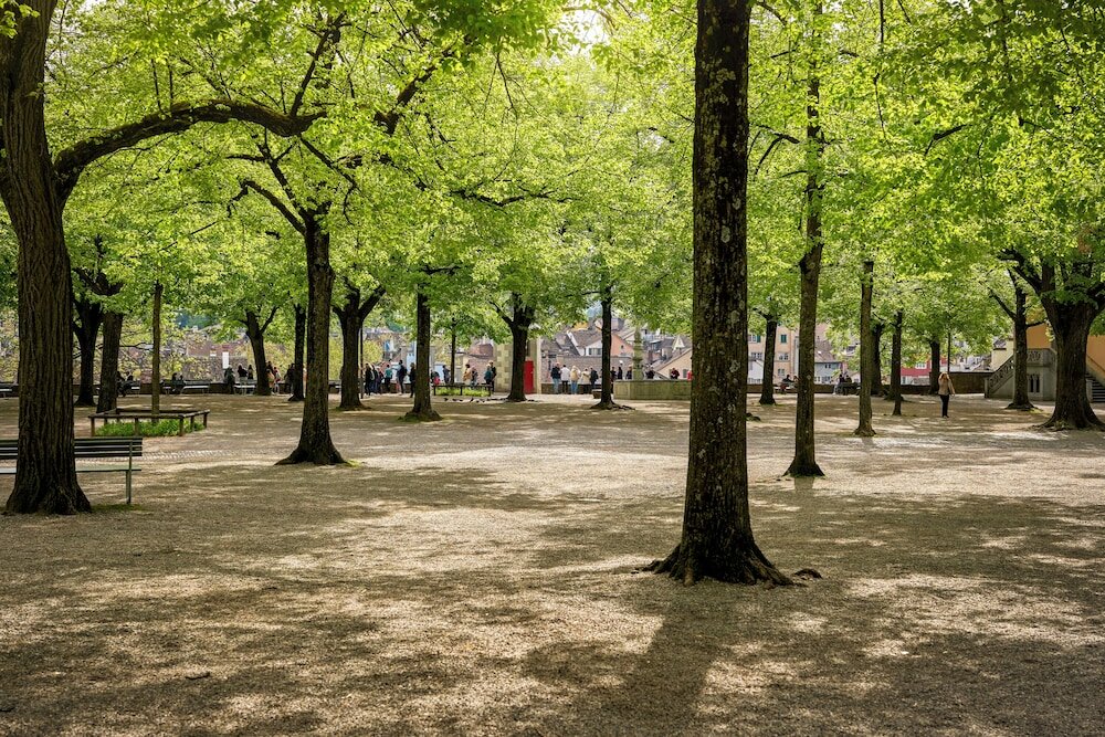 Фото Hotel Kindli