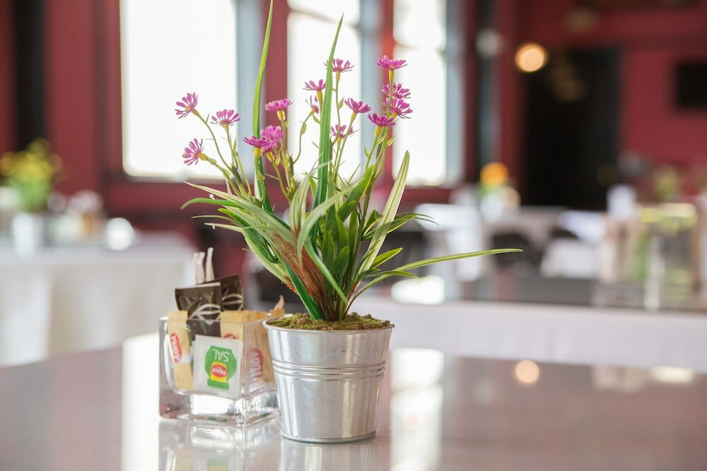 Фото Ona Marbella Inn