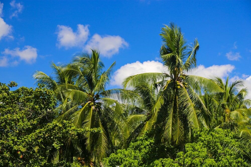 Фото Hotel De Karon