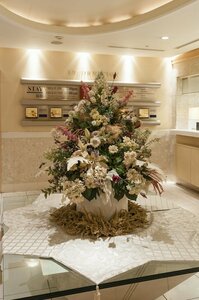 Гостиница Hotel Siena