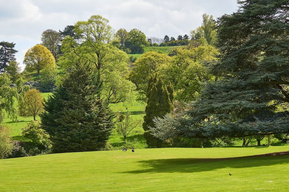 Фото 13561481265