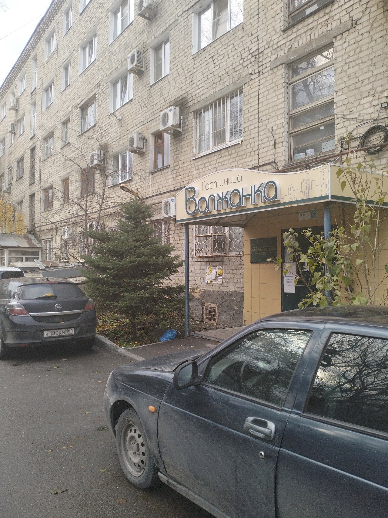 Фото Волжанка