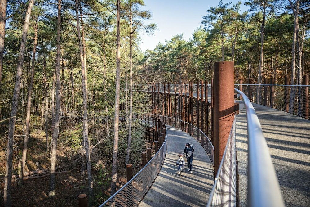 Фото 123800312978