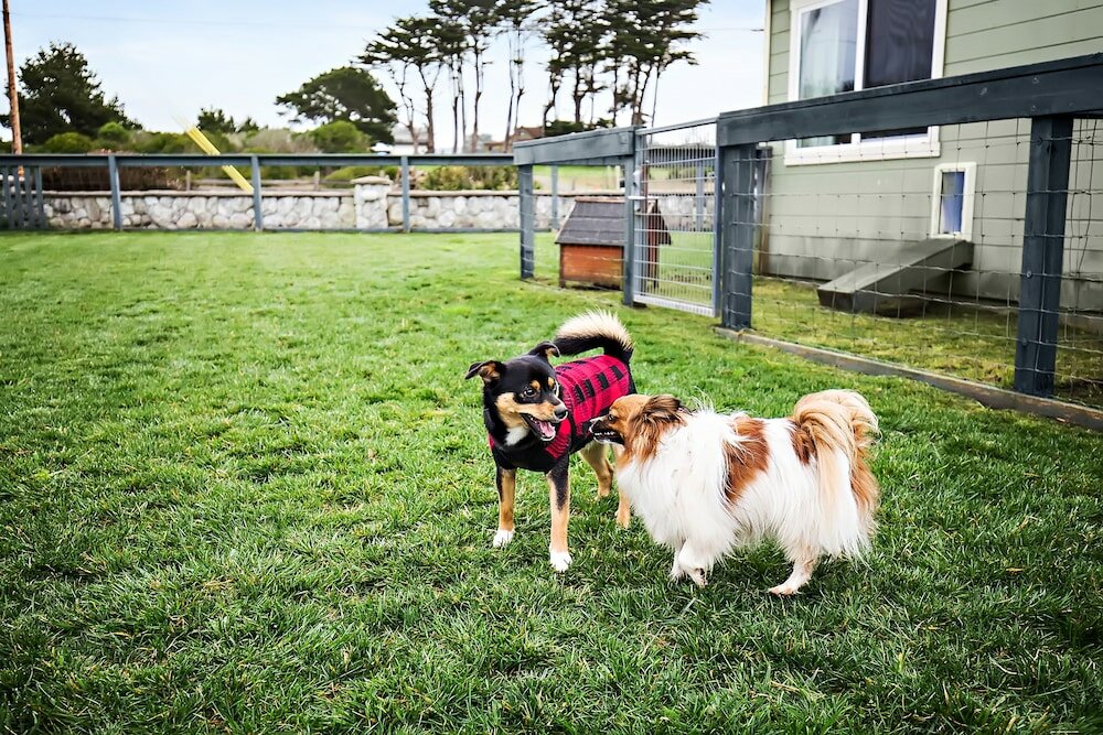Фото Beachcomber Motel Fort Bragg