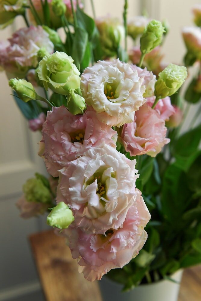 Фото Suites Farnese Design Hotel