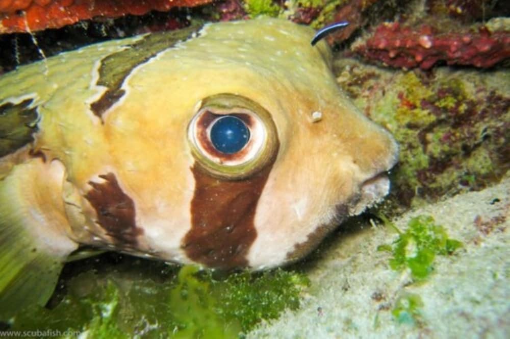 Фото Zan View Hotel