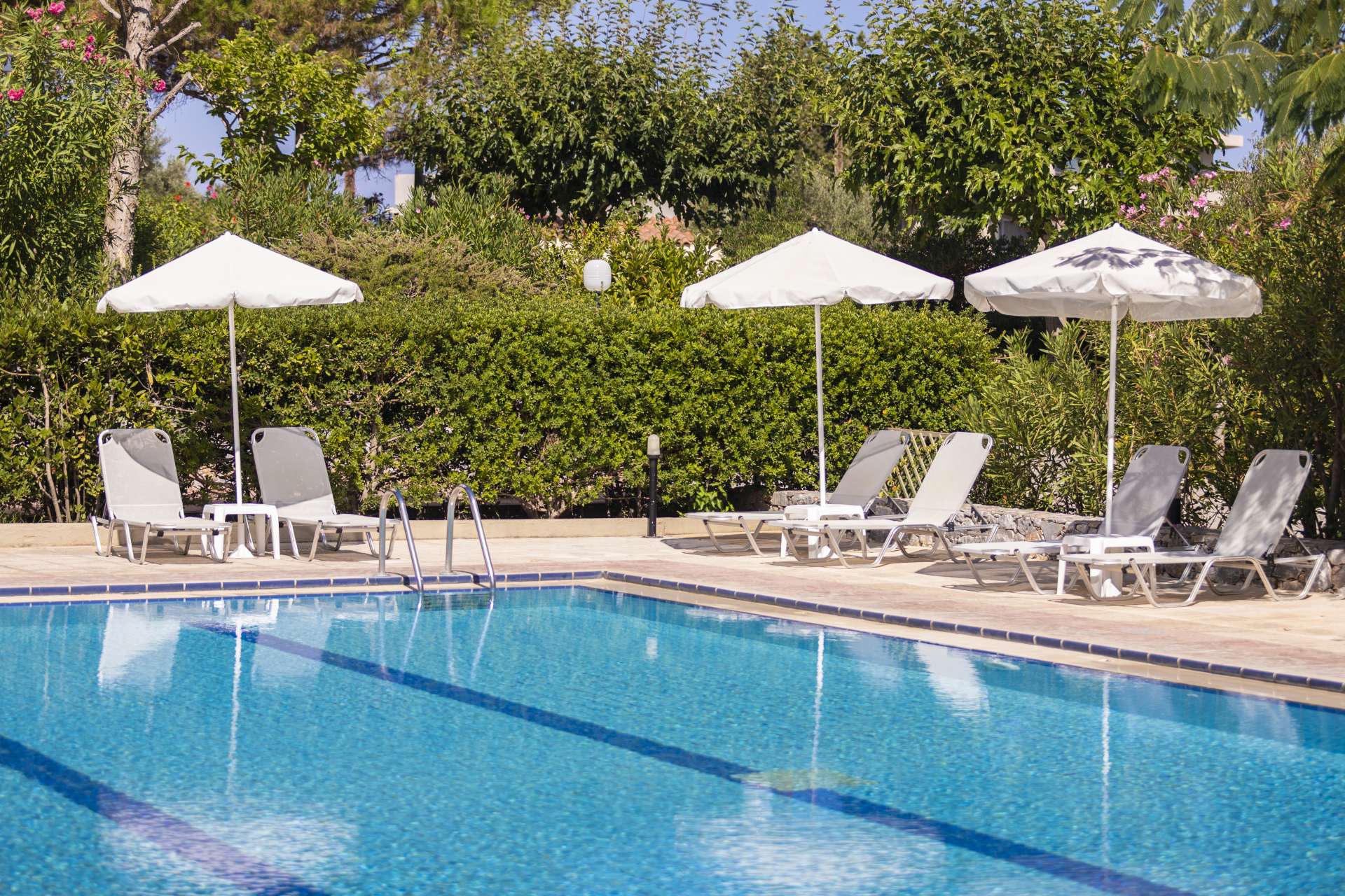 Фото Ibiscos Garden Hotel