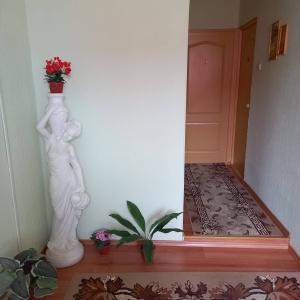 Фото Камелия