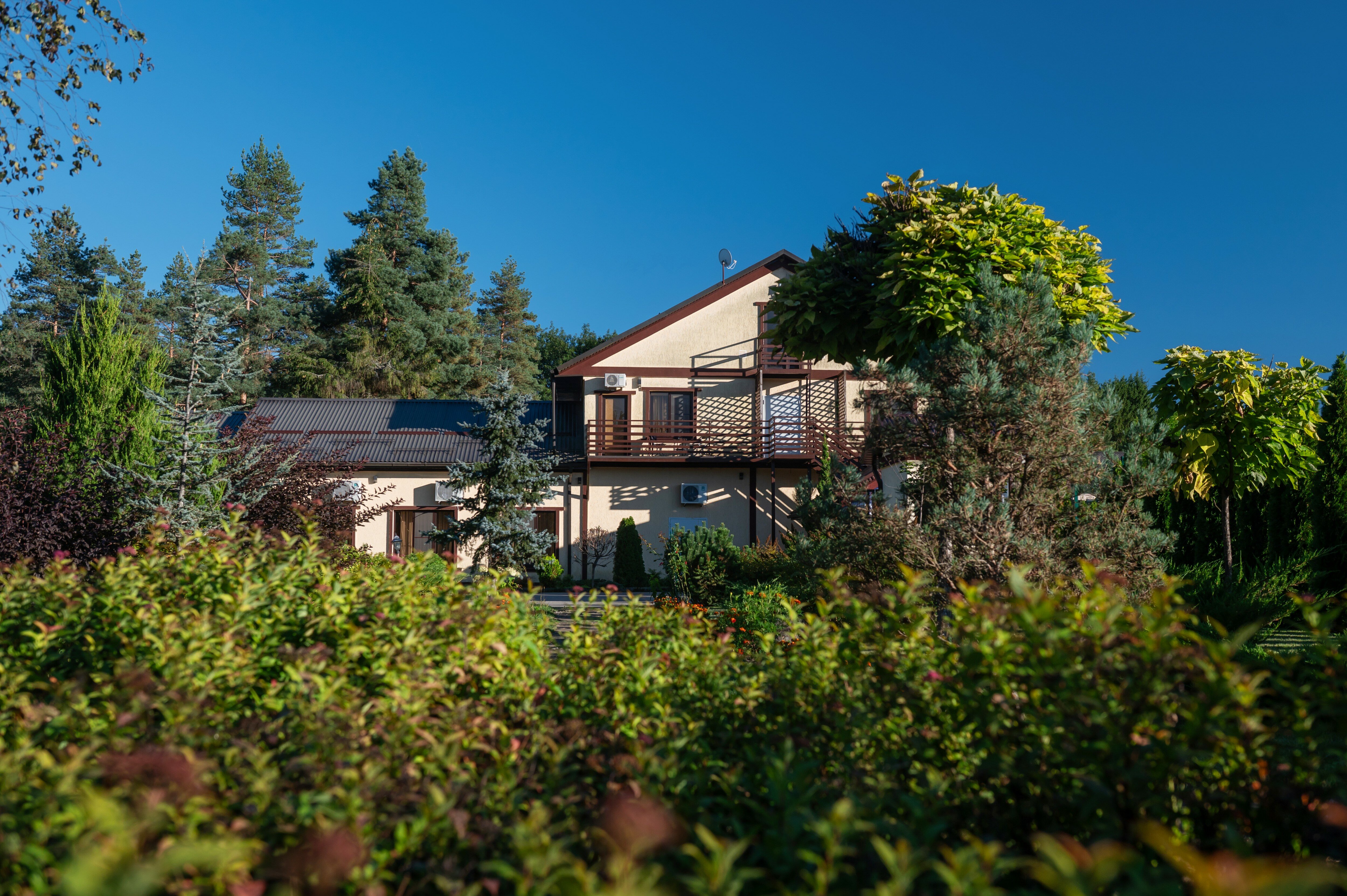 Фото Павлова поляна