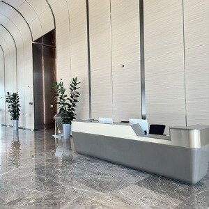 Фото T-city Presidential Hotel